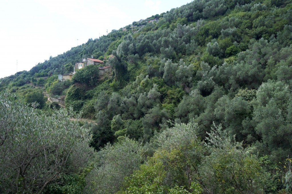 5 terre italie sentier parc naturel