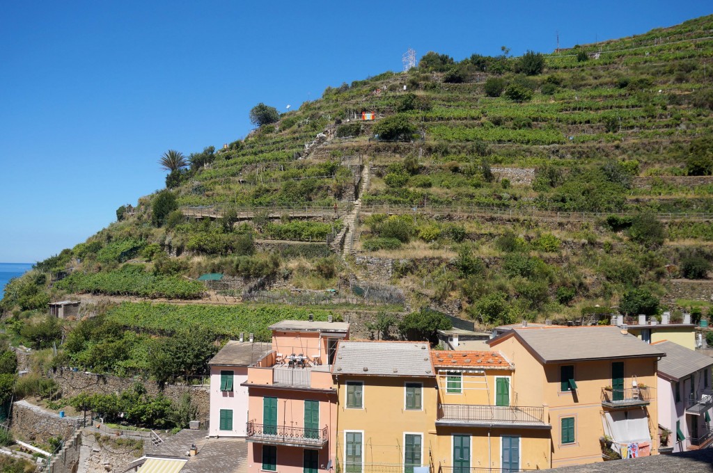 Manarola 5 terre italie