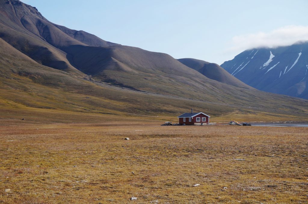 kayak svalbard arctique challenge