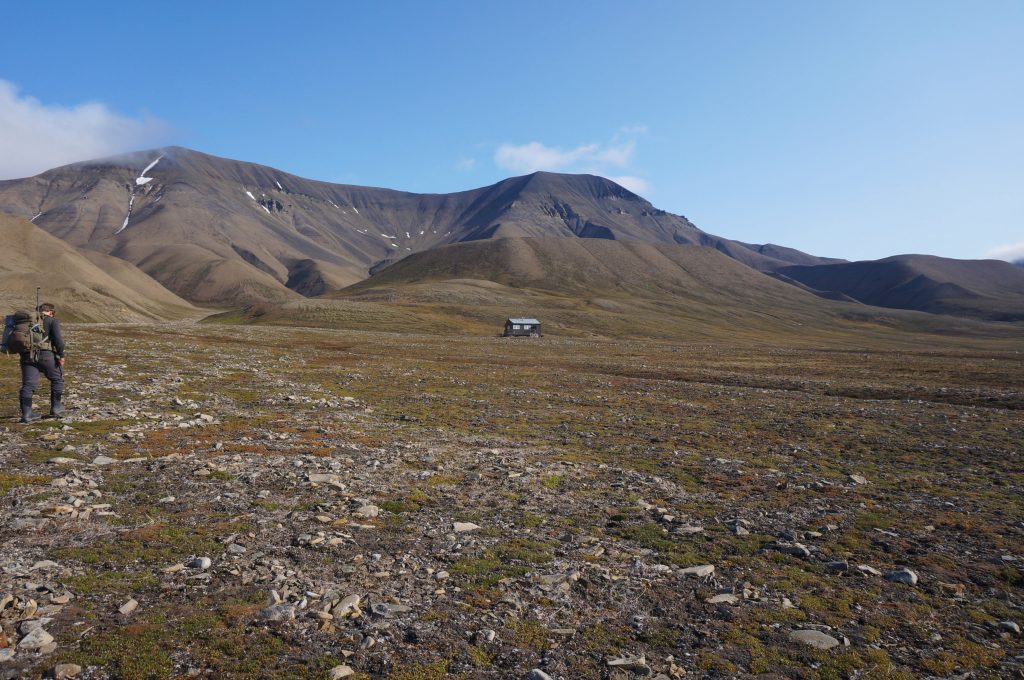 kayak svalbard arctique challenge