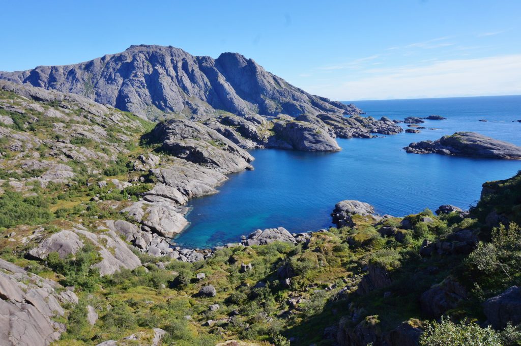 Lofoten norvege mouton nesland