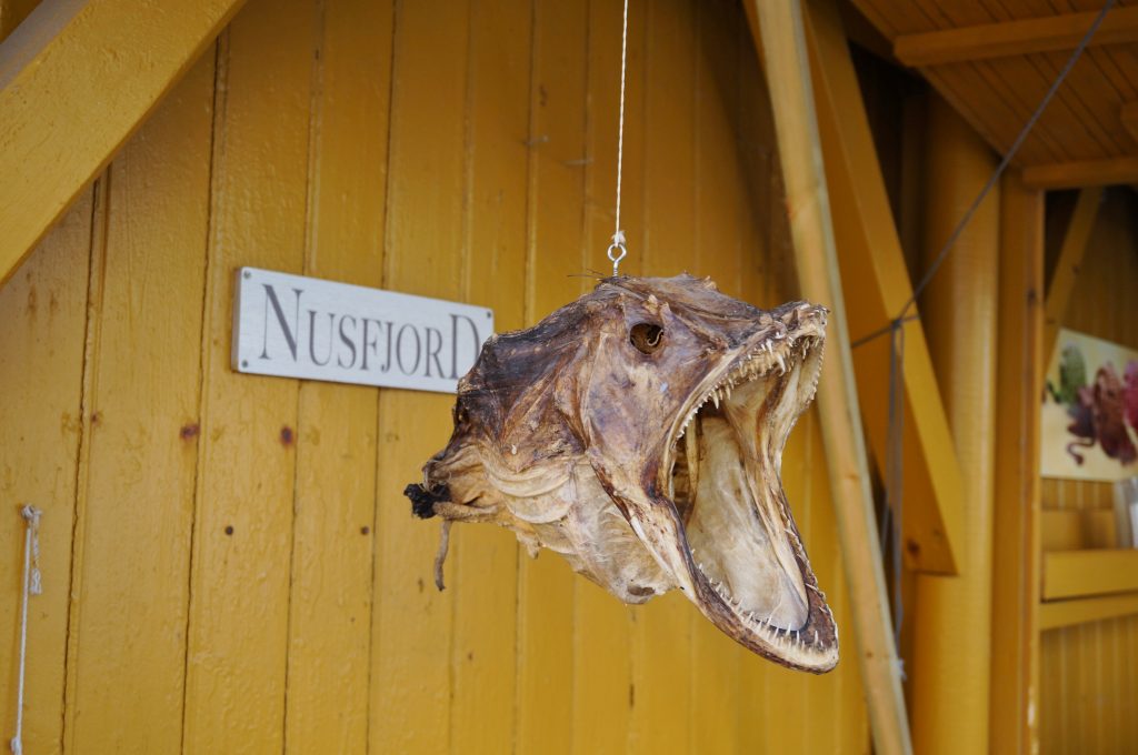 Lofoten norvege Nusfjord