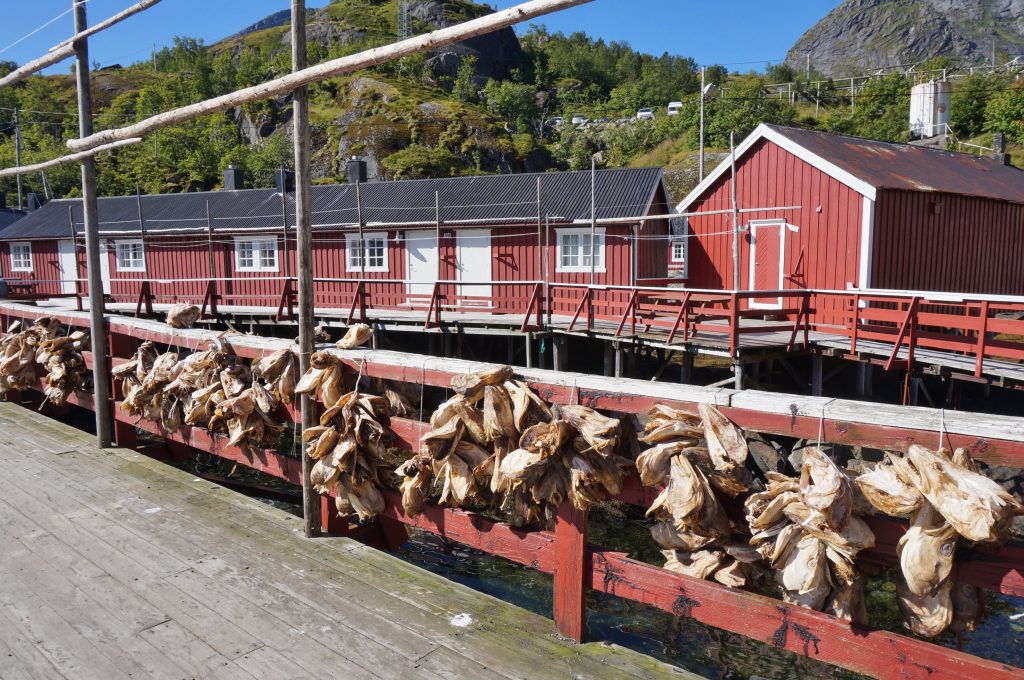 Lofoten norvege Nusfjord