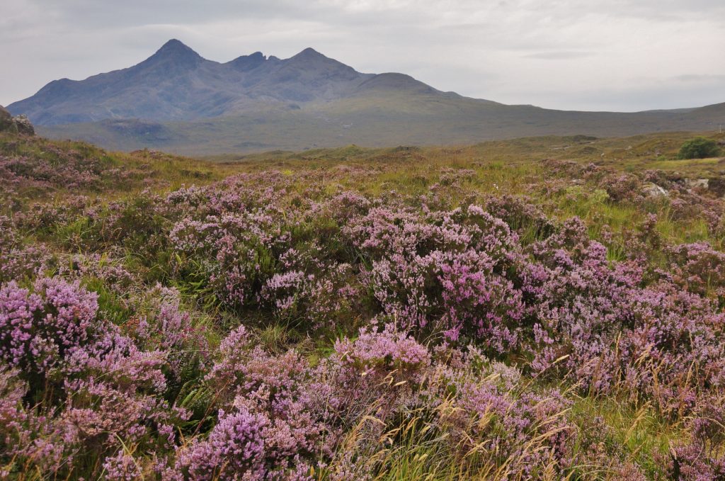 ile de skye ecosse