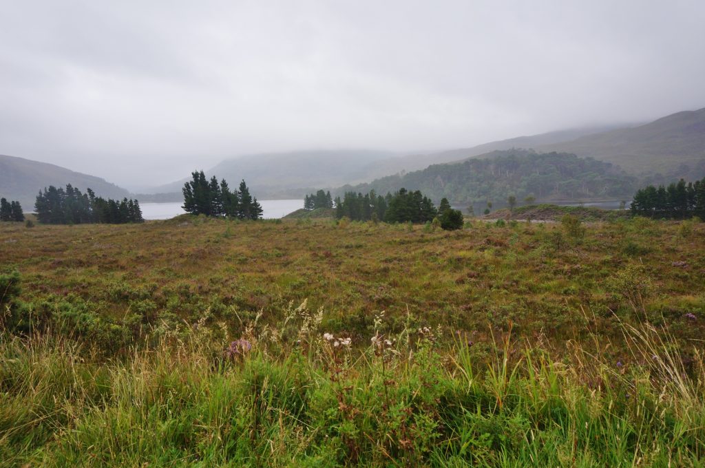 Wester ross ecosse A896 Torridon