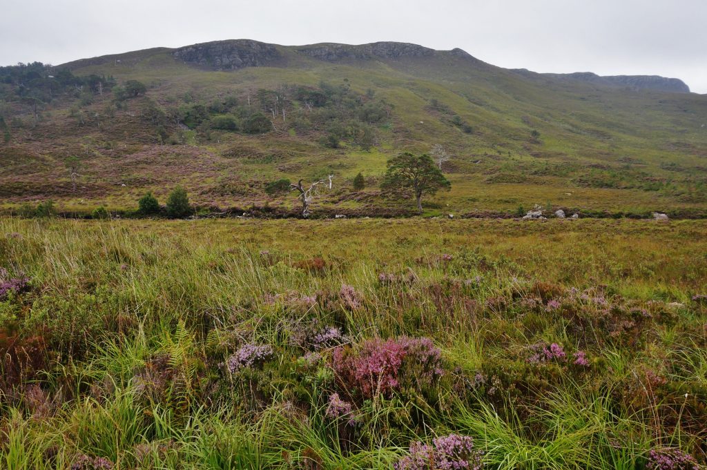 Wester ross ecosse A896 Torridon