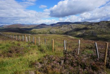 ecosse road trip