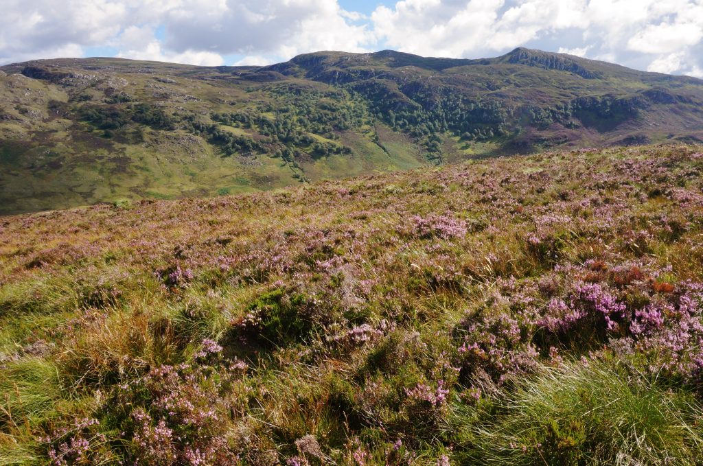 ecosse route B62 loch ness