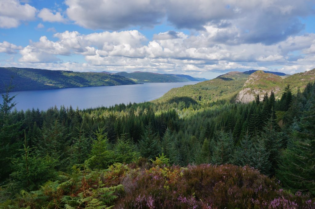 Inverfarigaig ecosse route B62 loch ness