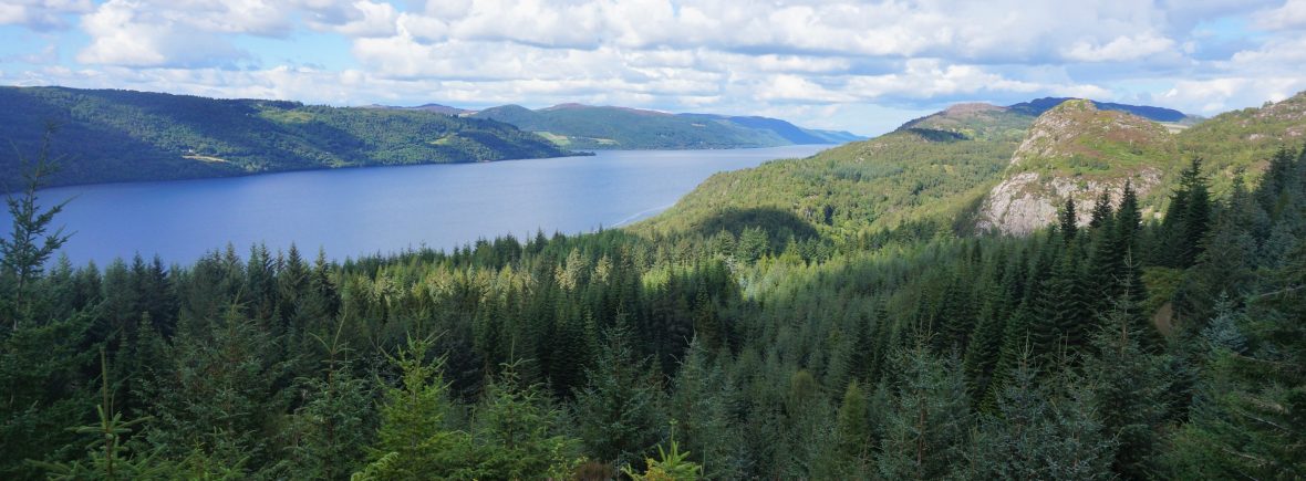 Inverfaigaig ecosse forêt loch ness