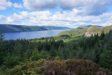 Inverfaigaig ecosse forêt loch ness