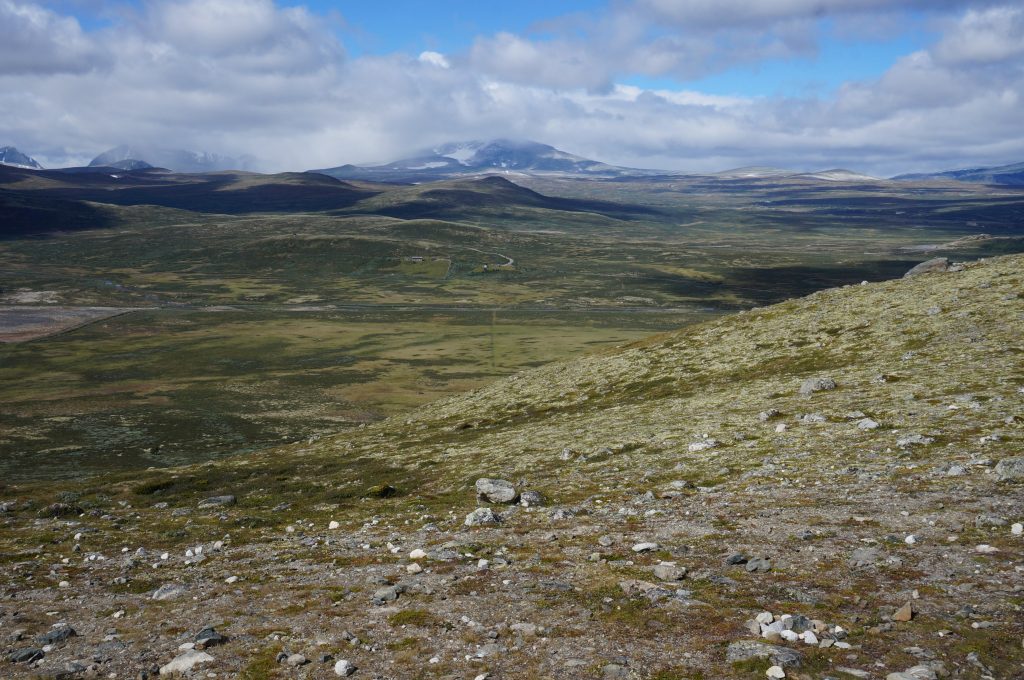 norvege parc national Dovrefjell