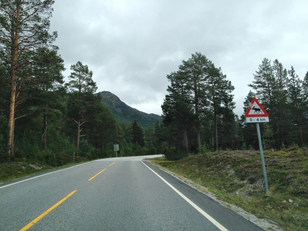 route norvege