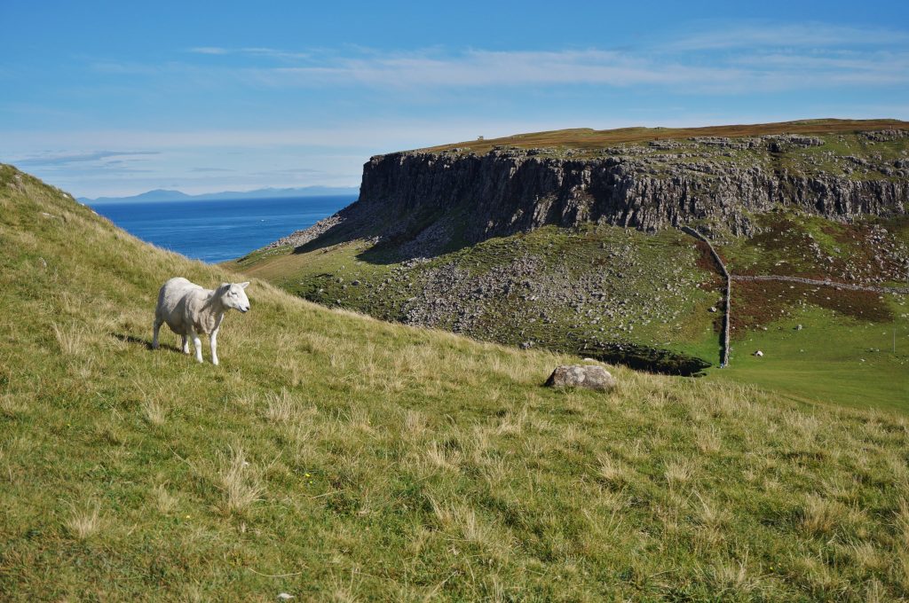 île de skye ecosse neist point