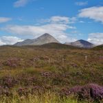 Ecosse