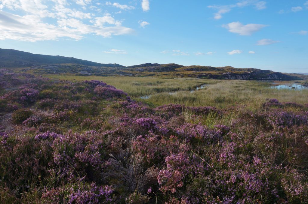 ecosse Wester Ross