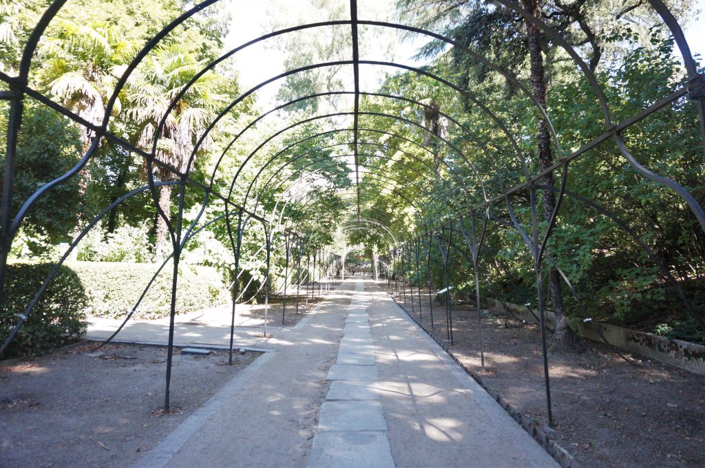 madrid espagne jardin botanique