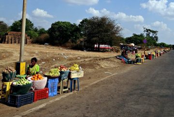 marchands de fruits en inde