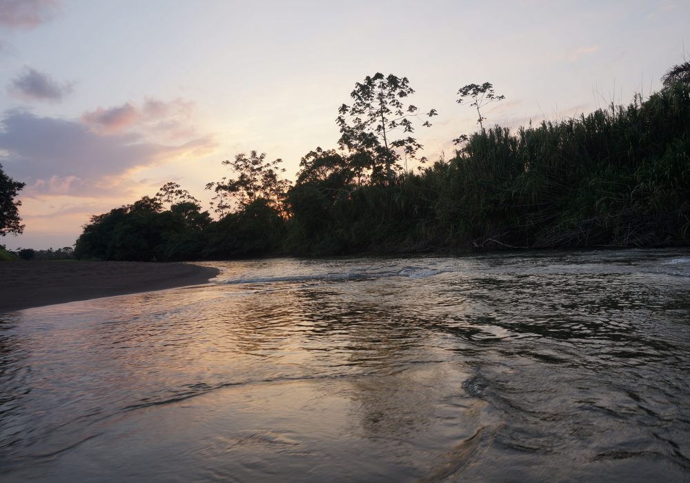 coucher de soleil tortuguero - costa rica - La pavona