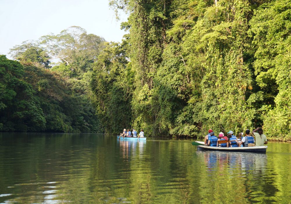 Balade en canoë tortuguero - costa rica