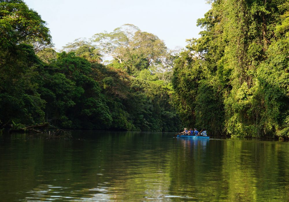 Canoë dans le parc national de Tortuguero - Costa rica