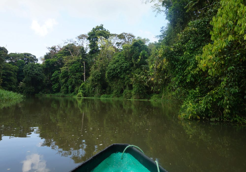 Balade en canoë tortuguero - costa rica