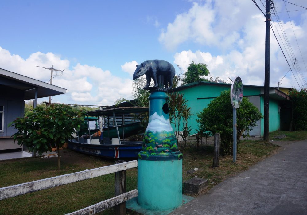 Village de Tortuguero - costa rica - poubelle animale