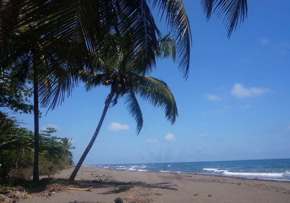 Plage - Parc national de Tortuguero - costa rica