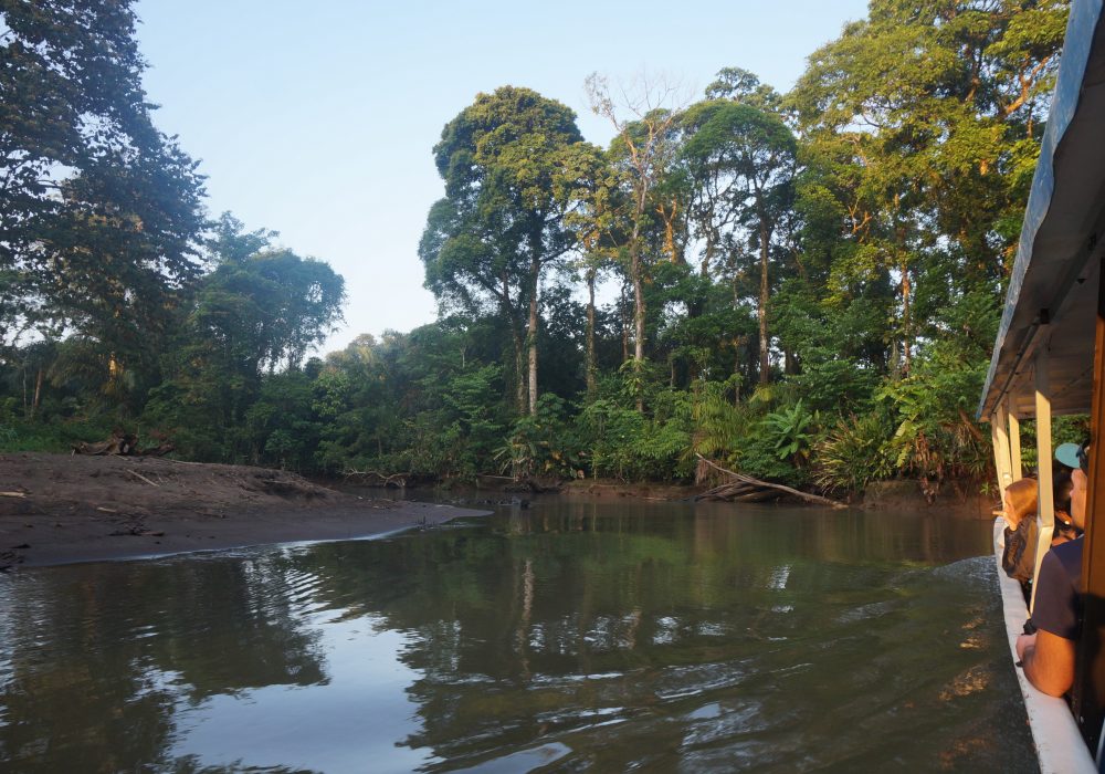 paysage tortuguero - costa rica - La pavona