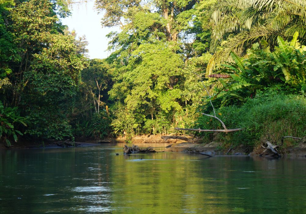 paysage tortuguero - costa rica - La pavona