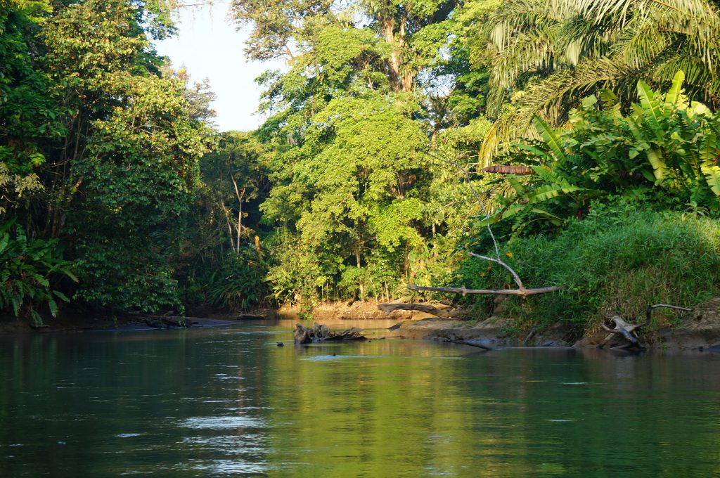 tortuguero costa rica