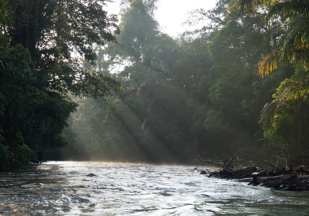 Paysage Tortuguero  - costa rica