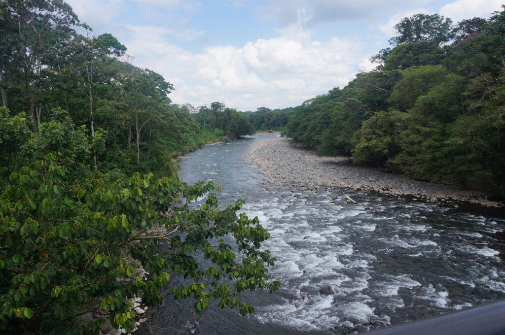 Reserva Biologica Tirimbina Costa rica Sarapiqui