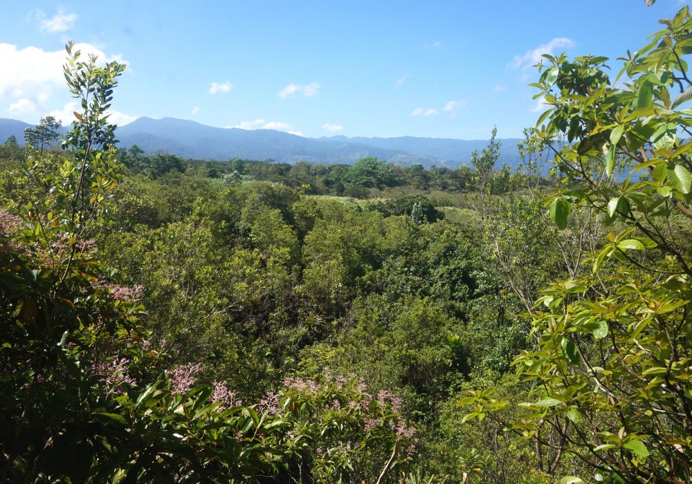 Vue sur le lac Arenal - parc Arenal 1968 - costa rica