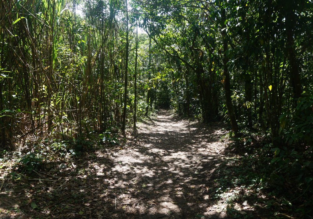 Parc naturel du volcan Arenal - costa rica