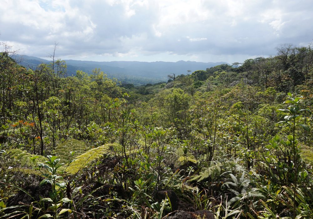 Vue panoramique sur le lac Arenal - Arenal Observatory lodge - costa rica