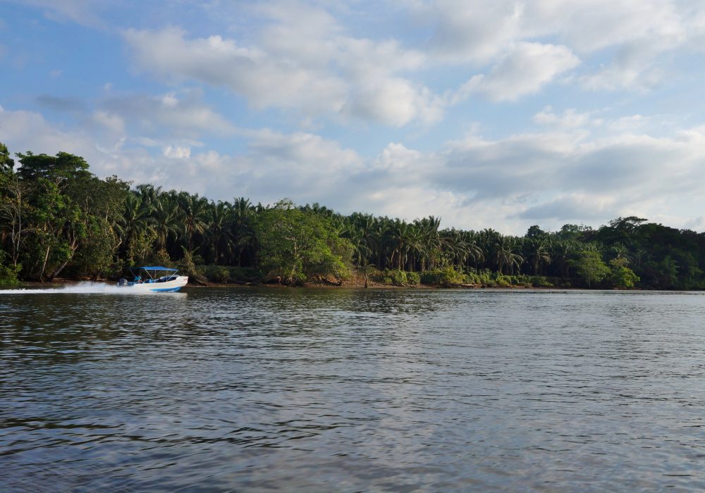 Bateau de Sierpe à Bahia Drake (péninsule d'Osa) - costa rica