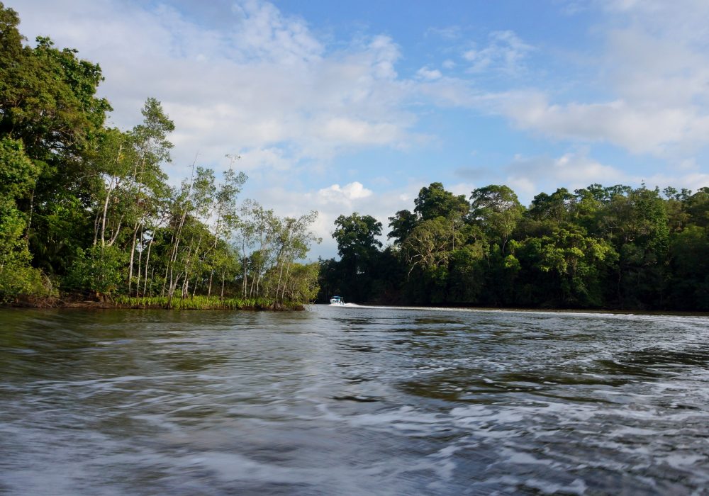 Bateau de Sierpe à Bahia Drake (péninsule d'Osa) - costa rica