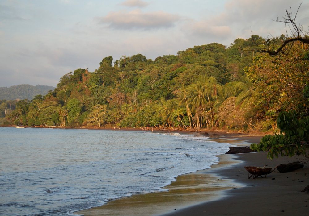 Plage du village de Bahia Drake (péninsule d'Osa) - Costa rica