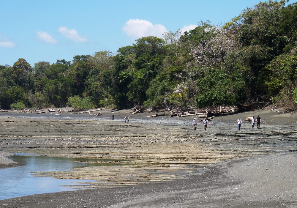 Plage - Parc national de Corcovado  - Costa rica