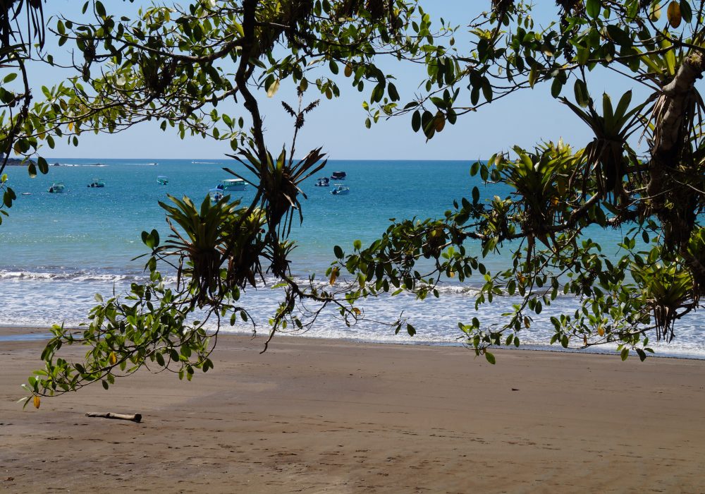 Plage de Bahia Drake - péninsule d'Osa - Corcovado - Costa Rica