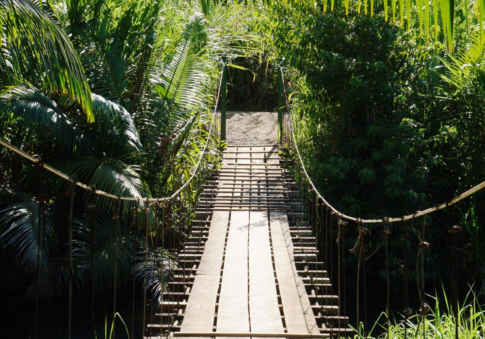 Pont suspendu -  Bahia Drake - péninsule d'Osa - Corcovado - Costa Rica