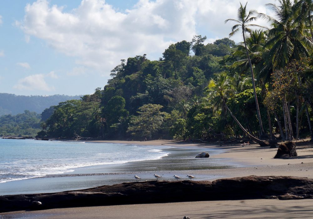 Plage de Bahia Drake - Corcovado - Costa rica