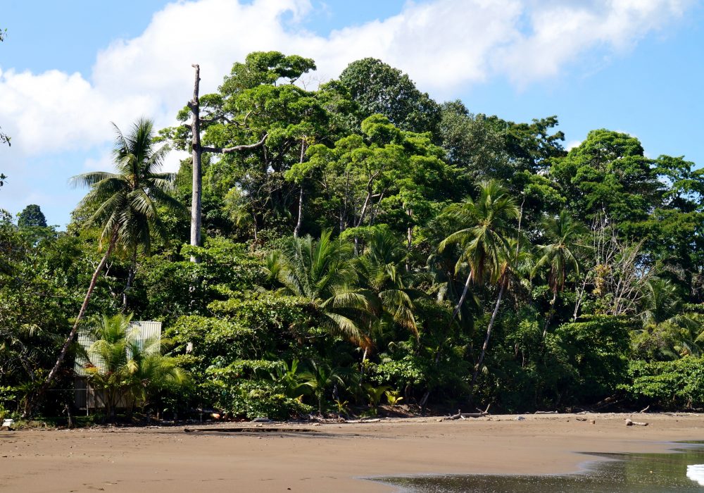 Plage de Bahia Drake - péninsule d'Osa - Corcovado - Costa Rica