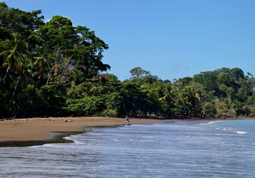 Plage de Bahia Drake - péninsule d'Osa - Corcovado - Costa Rica