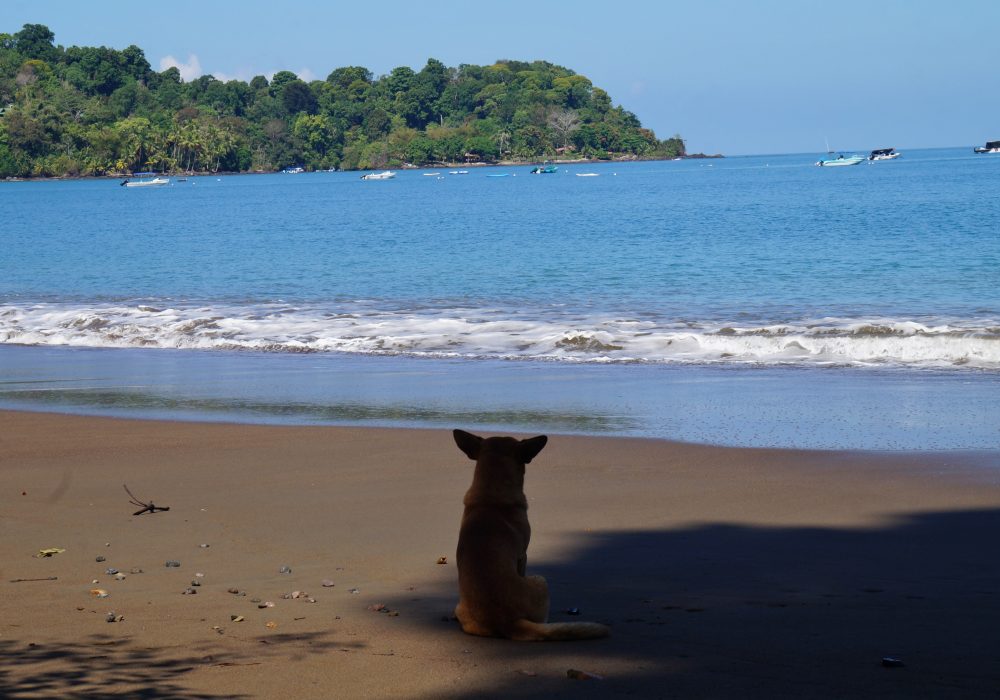 Plage de Bahia Drake - péninsule d'Osa - Corcovado - Costa Rica