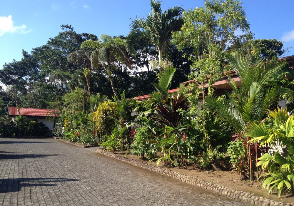 Hôtel Volcano Lodge and Springs - Arenal - Costa rica