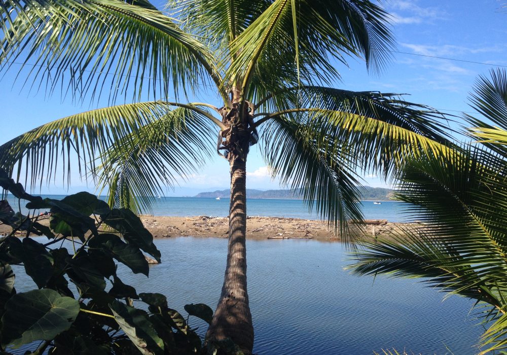 Bahia Drake - péninsule d'Osa - Corcovado - Costa Rica