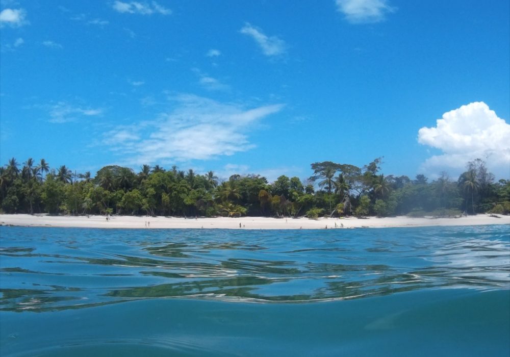 Plage du parc maritime Ballena - costa rica