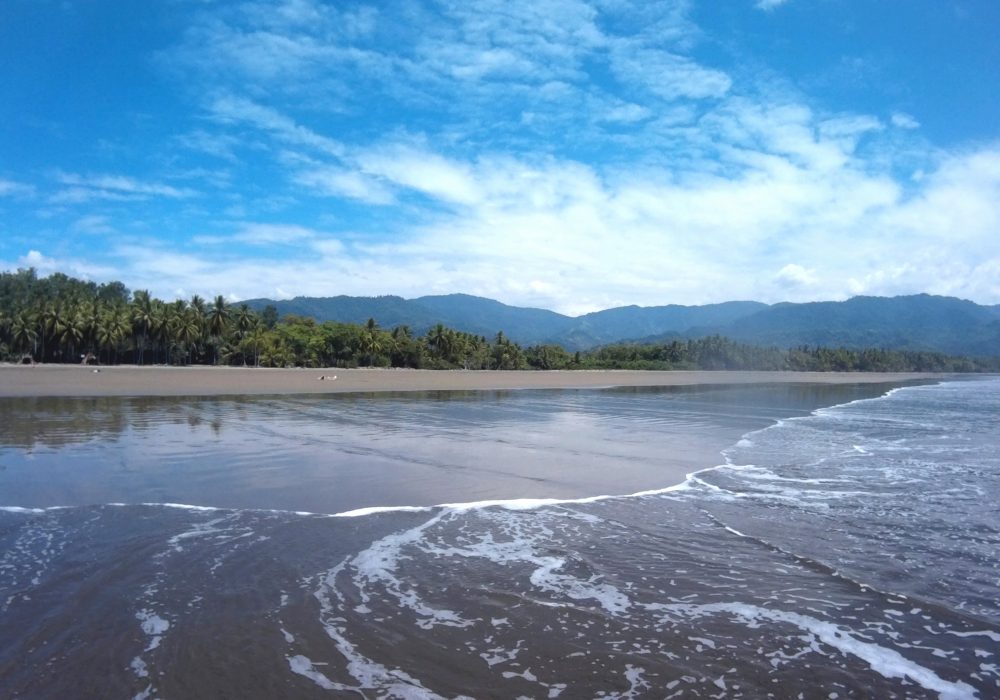 Plage du parc maritime Ballena - costa rica